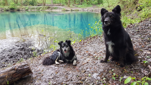 Stanley-und-Romina.jpg